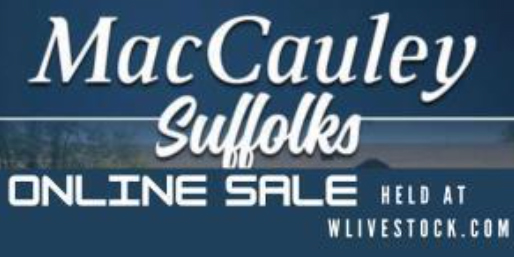 MacCauley Suffolks April 21 st Online Sale