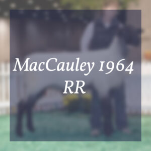 MacCauley 1964 RR