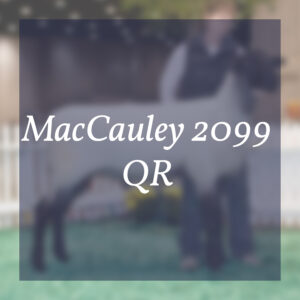 MacCauley 2099 QR