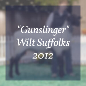 "Gunslinger" Wilt Suffolks 2012