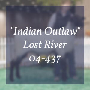 "Indian Outlaw" Lost River 04-437