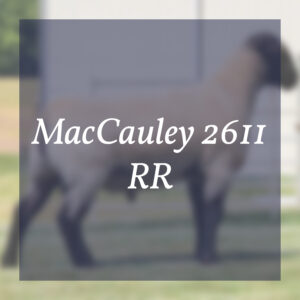 MacCauley 2611 RR