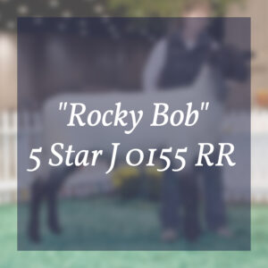 "Rocky Bob" 5 Star J 0155 RR