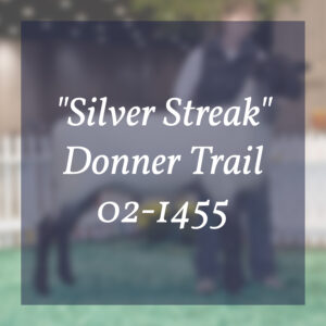 "Silver Streak" Donner Trail 02-1455