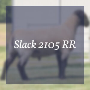 Slack 2105 RR