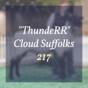 "ThundeRR" Cloud Suffolks 217