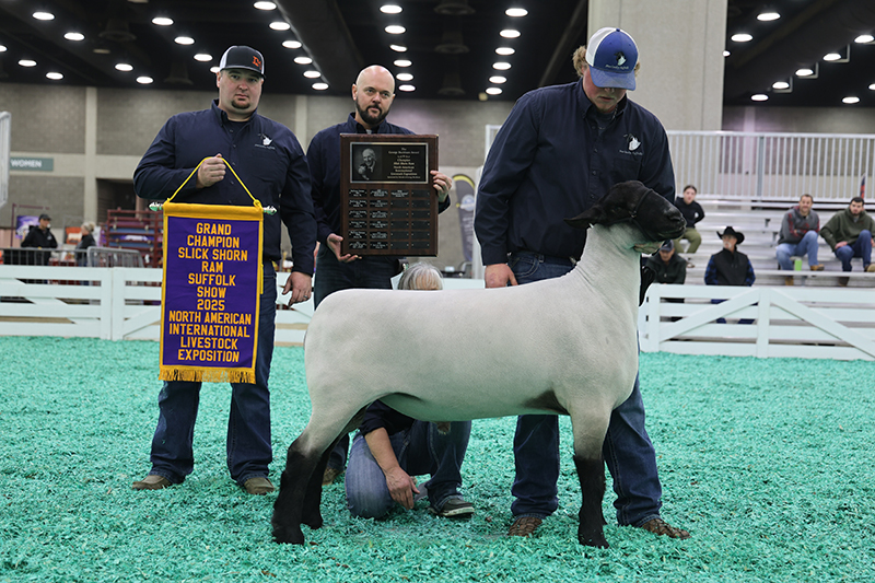 Champion Ram, 2025 N.A.I.L.E. Champion Ram, 2025 N.A.I.L.E.