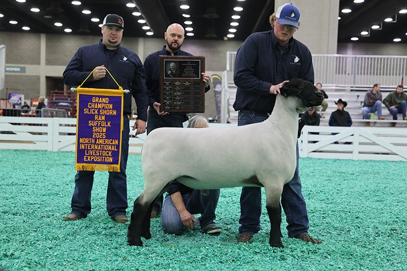 Champion Ram, 2025 N.A.I.L.E. Champion Ram, 2025 N.A.I.L.E.