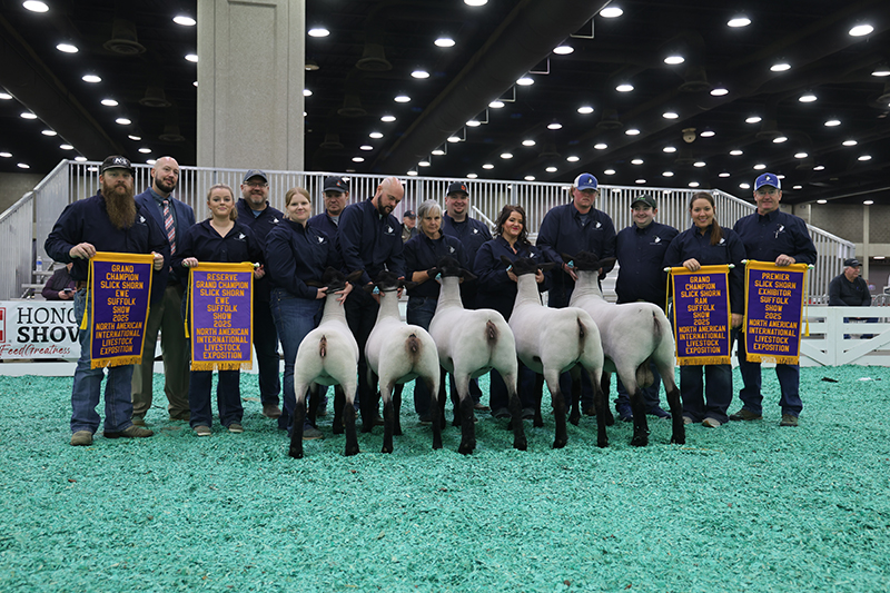 1st Place Flock, 2025 N.A.I.L.E. 1st Place Flock, 2025 N.A.I.L.E.